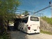 Bus-001.jpg