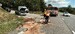 Novosedly-001.jpg