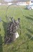 Paragliding.jpg
