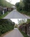Pintova.jpg