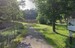 Rybník park.jpg